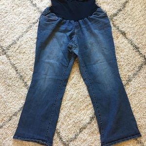 Full Panel Maternity Jeans 3X